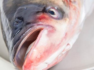 綠豆糕能夠減肥嗎？綠豆糕有減肥功效嗎？