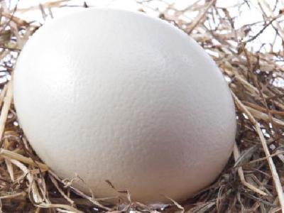 減肥吃什么魚肉比較好？適合減肥吃的魚盤點