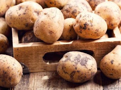 什么是耳穴按摩減肥？耳穴按摩減肥方法是什么？