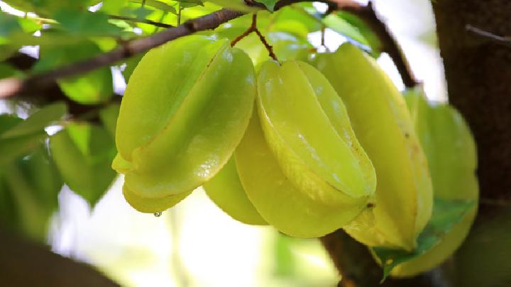 喝海帶冬瓜湯能減肥嗎？海帶冬瓜湯怎么做減肥？