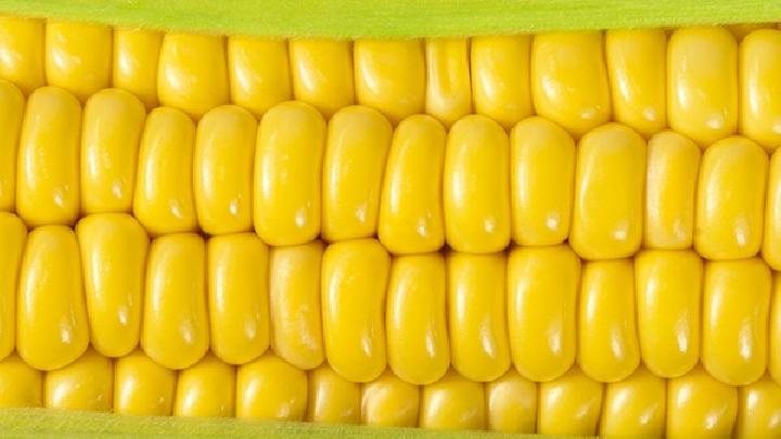 番茄的減肥功效是怎樣的？吃番茄能減肥嗎？