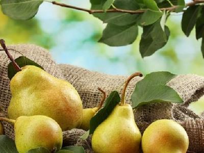 牙齒健康與體重有關(guān)嗎？減肥對(duì)牙有好處嗎？