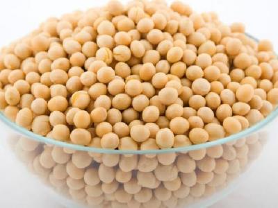 減肥茶有哪些？推薦幾款最適合冬季的減肥茶