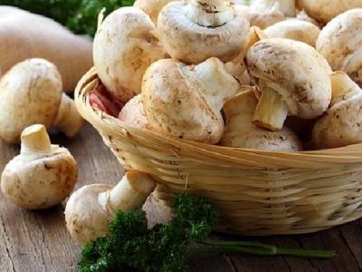 纖瘦針灸減肥會反彈嗎？中醫針灸能減肥嗎？