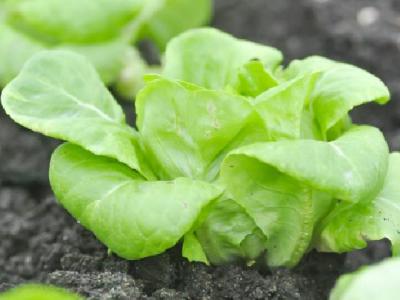 什么運動減肥效果最明顯呢？減肥最好的運動方法推薦