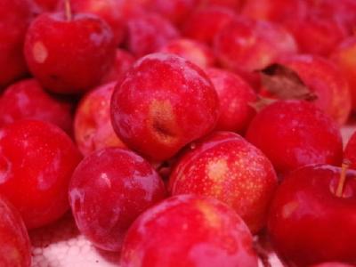 中藥美容減肥茶有什么？推薦這4款就能瘦身又滋補(bǔ)