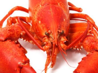 如何飲食可以減肥？瘦身飲食減肥秘訣總結(jié)