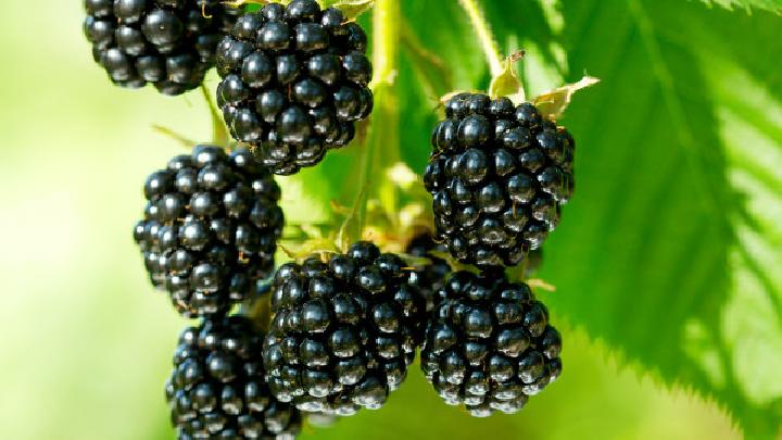 無氧運動可以減肥嗎？減肥者別小看無氧運動