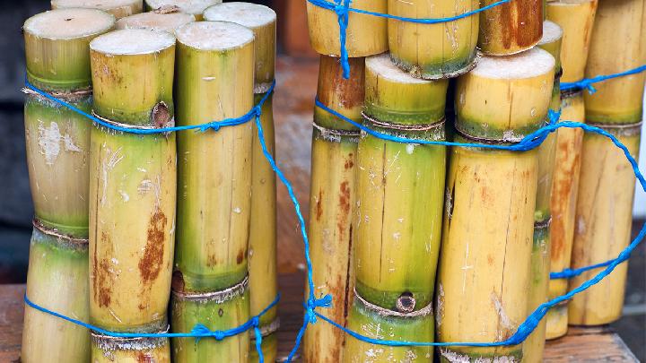 醋蛋液可以減肥嗎？醋蛋液的減肥效果怎么樣？