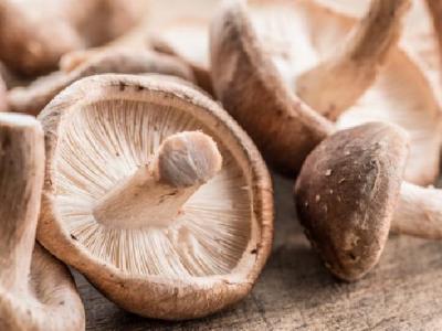 什么運動可以有效快速減肥？減肥效果最好的運動方法