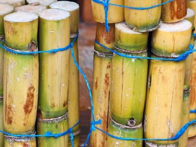 醋蛋液可以減肥嗎？醋蛋液的減肥效果怎么樣？