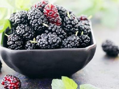 先減肥還是先練肌肉呢？減肥和練肌肉應該如何進行？