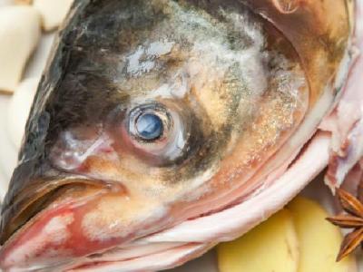 秋季吃什么減肥最快？推薦這5種食物利尿消脂塑苗條身材