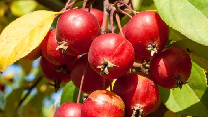 最新懶人減肥法推薦5招輕松瘦身做女神