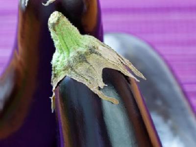 拔罐減肥一般多少錢？拔罐減肥貴嗎？