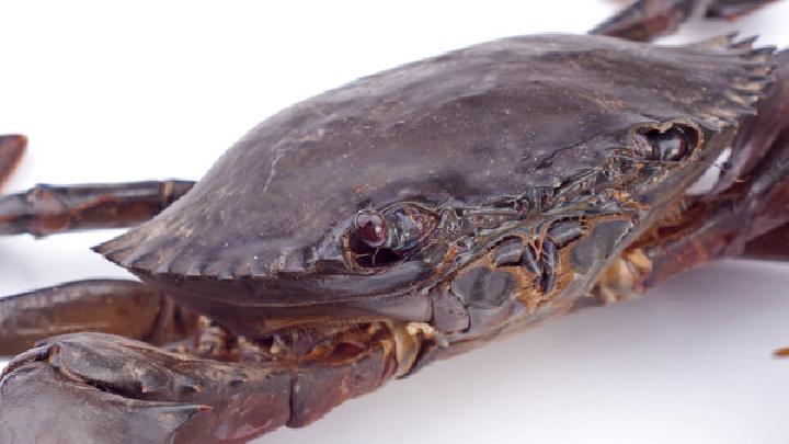 苦瓜素怎么吃能減肥？苦瓜素有沒有減肥的效果？