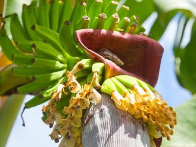 如何減肥能快速見效呢？減肥最快的方法是什么？