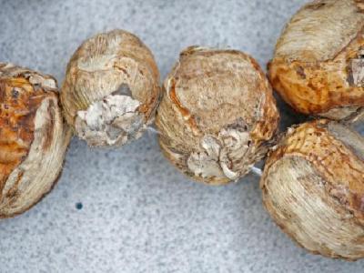 減肥瘦肚子的動作有哪些？如何運動能瘦肚子？