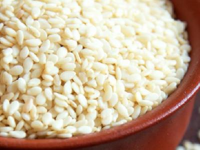 每晚跑步半小時能減肥嗎？如何跑步能減肥？