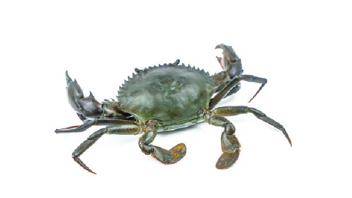 減肥期間蔬菜沙拉怎么做?減肥蔬菜沙拉做法-易網<a href=http://www.gyfww.com/ target=_blank class=infotextkey>健康養生</a>網 減肥期間蔬菜沙拉怎么做?減肥蔬菜沙拉做法