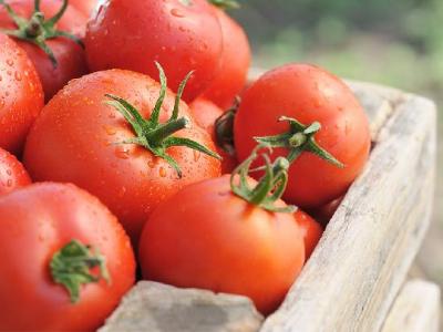 跳繩減肥瘦腿嗎？跳繩減肥的優點有哪些？