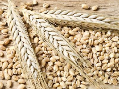 針灸減肥有什么壞處呢？針灸減肥的副作用有哪些？