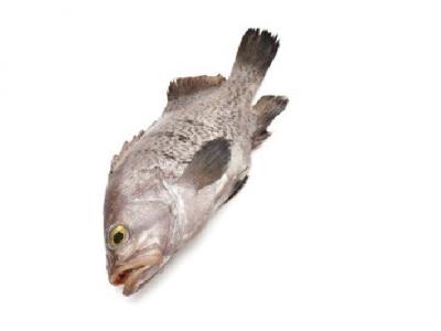 米飯加什么可以減肥？煮米飯加點(diǎn)這些竟然能減肥