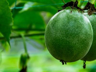 蛙泳減肥效果怎么樣？掌握這4個小技巧效果翻倍！