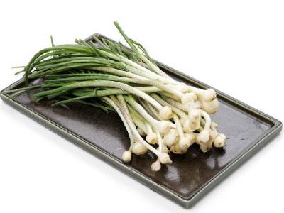 更年期發胖應該如何減肥？減肥的正確方法有哪些？