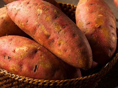 減肥瘦身運動有哪些？哪種最適合你？