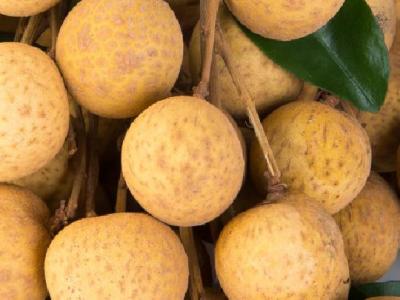 晚上吃水果減肥嗎？減肥期間如何吃水果？