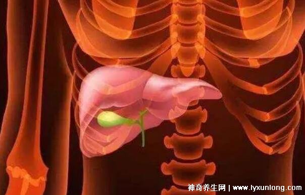 膽囊息肉最怕三種運動,散步/游泳/瑜伽(千萬別舉重爬山)-易網健康<a href=http://www.gyfww.com/jkys/ target=_blank class=infotextkey>養生</a>網 膽囊息肉最怕三種運動,散步/游泳/瑜伽(千萬別舉重爬山)