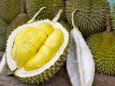 經常去健身房真的能減肥嗎？健身房減肥的方法是什么？