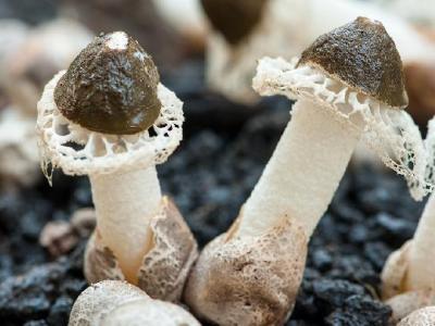 月經(jīng)一周后減肥方法有哪些？經(jīng)期過后如何減肥？