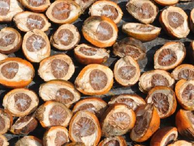 健身動作不規范怎么辦？還可以減肥嗎？