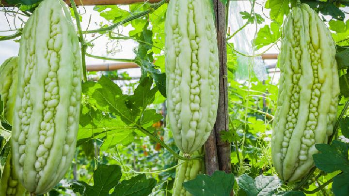 什么是養生減肥？養生減肥的方法是什么？