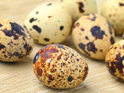 什么是養生減肥？養生減肥的方法是什么？