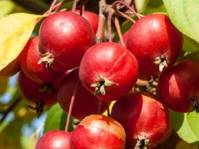 男生減肥練肌肉怎么做？男性減肥好方法介紹