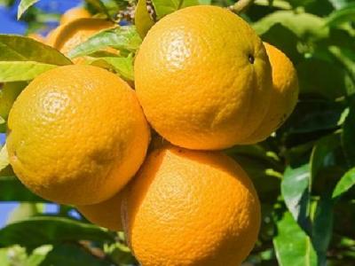 女性游泳減肥要注意什么？盤點游泳減肥的注意事項