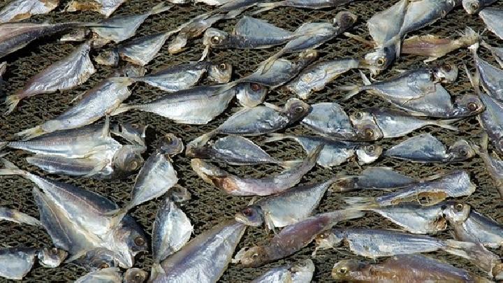 茯苓夾餅?zāi)軠p肥嗎？茯苓餅有減肥的功效嗎？