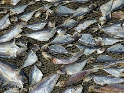 茯苓夾餅能減肥嗎？茯苓餅有減肥的功效嗎？