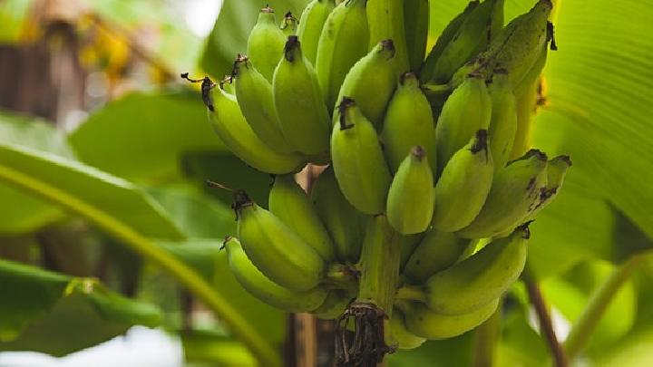 健康減肥養生食譜推薦 肉食品變盟友