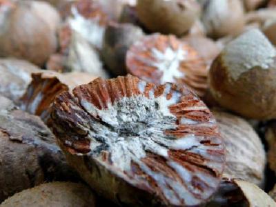 中醫如何減肥？按這饑點穴輕松減肥