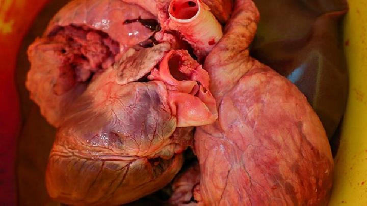 晚上喝蜂蜜水減肥嗎？晚上喝蜂蜜水有什么禁忌？