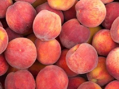 拉韌帶可以減肥嗎？拉韌帶的好處有哪些？