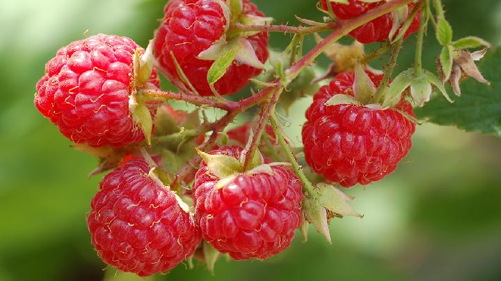 徒步可以減肥嗎？每天徒步多長時間能減肥？