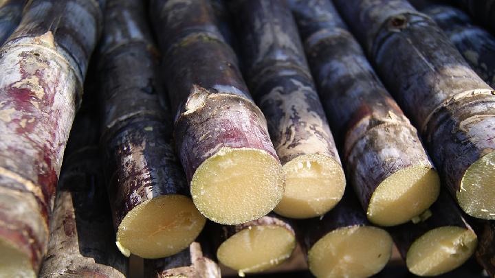 早餐應該吃什么水果來減肥？減肥早餐吃什么？