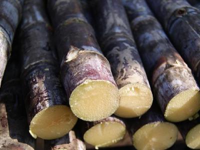 減肥蔬菜粥怎么做？減肥蔬菜粥的做法推薦