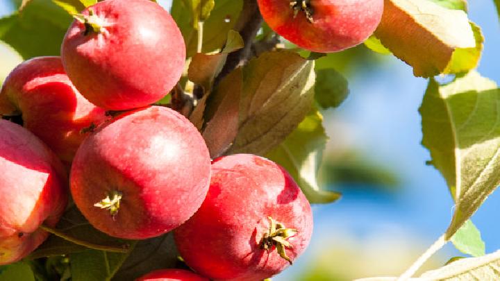 經常做什么運動可以減肥快？減肥最好的運動方法介紹