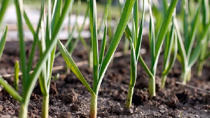 月經后減肥最快的方法有什么呢？生理周期減肥法介紹